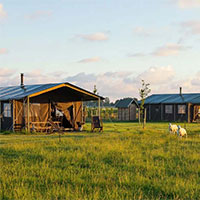 Camping BoerenBed Boerderij Ameland in regio Waddeneilanden, Nederland