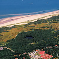 Bos en Duin
