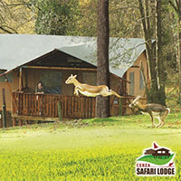 Cerza Safari Lodge
